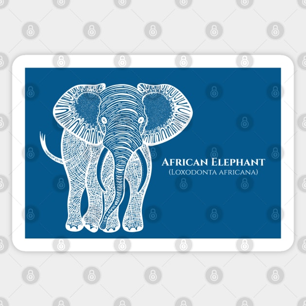 African Elephant with Common and Latin Names - gift for elephant lover Sticker by Green Paladin